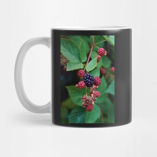 Blackberry Mug